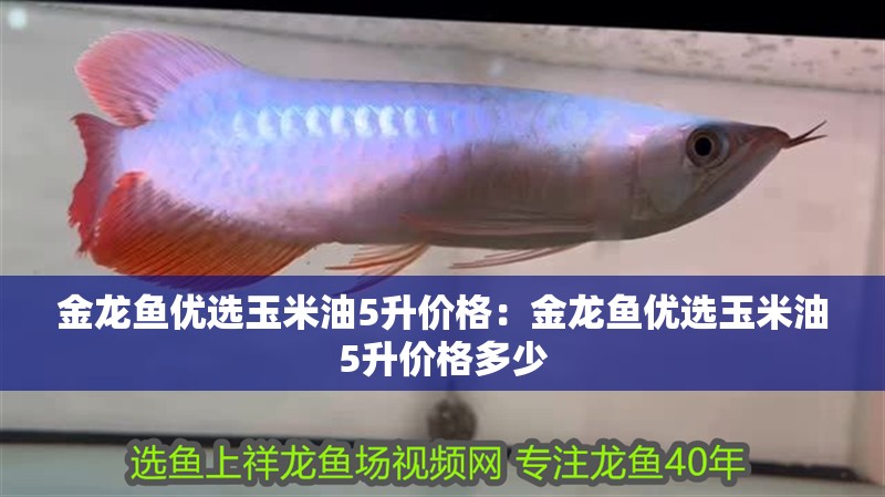 金龍魚優選玉米油5升價格：金龍魚優選玉米油5升價格多少