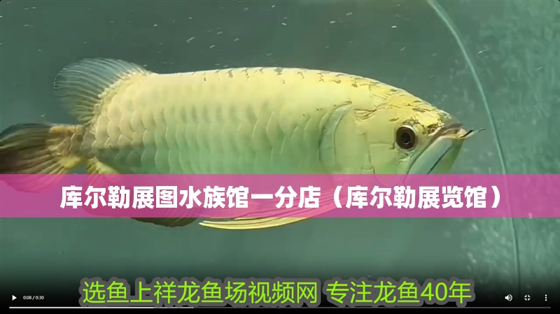 庫爾勒展圖水族館一分店（庫爾勒展覽館）
