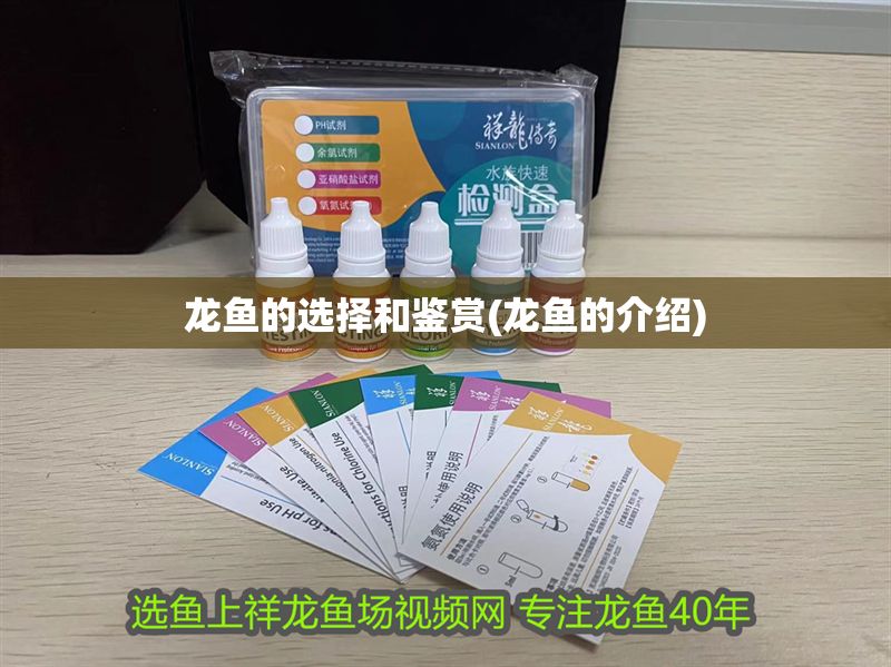 龍魚的選擇和鑒賞(龍魚的介紹)