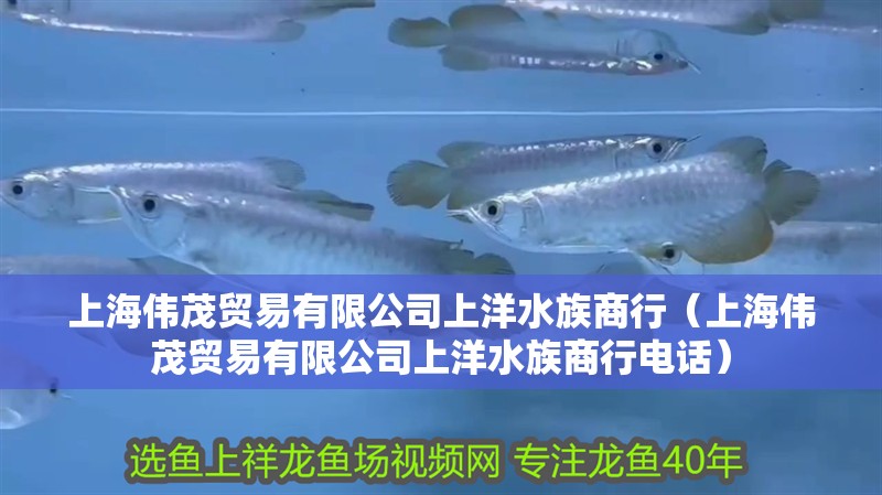 上海偉茂貿(mào)易有限公司上洋水族商行（上海偉茂貿(mào)易有限公司上洋水族商行電話）