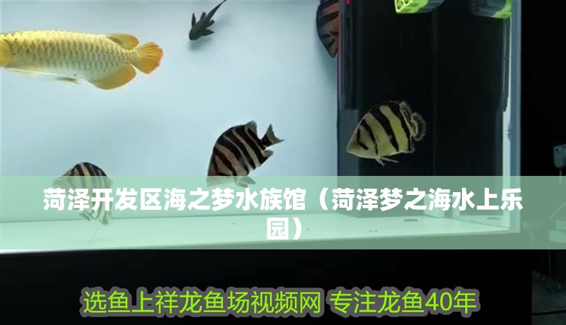 菏澤開發區海之夢水族館（菏澤夢之海水上樂園）