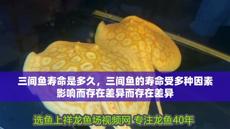 三間魚壽命是多久，三間魚的壽命受多種因素影響而存在差異而存在差異