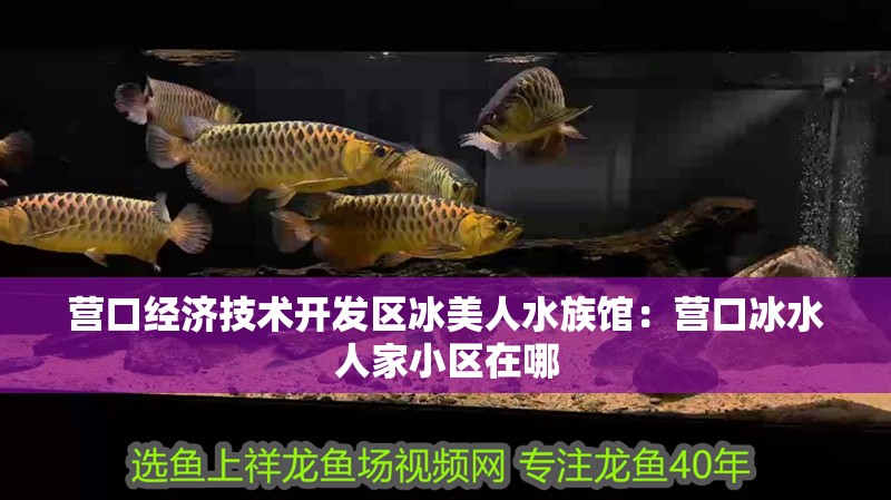 營口經濟技術開發區冰美人水族館：營口冰水人家小區在哪