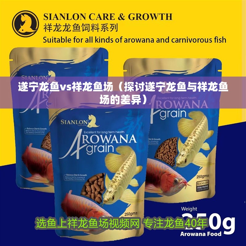 遂寧龍魚vs祥龍魚場（探討遂寧龍魚與祥龍魚場的差異）