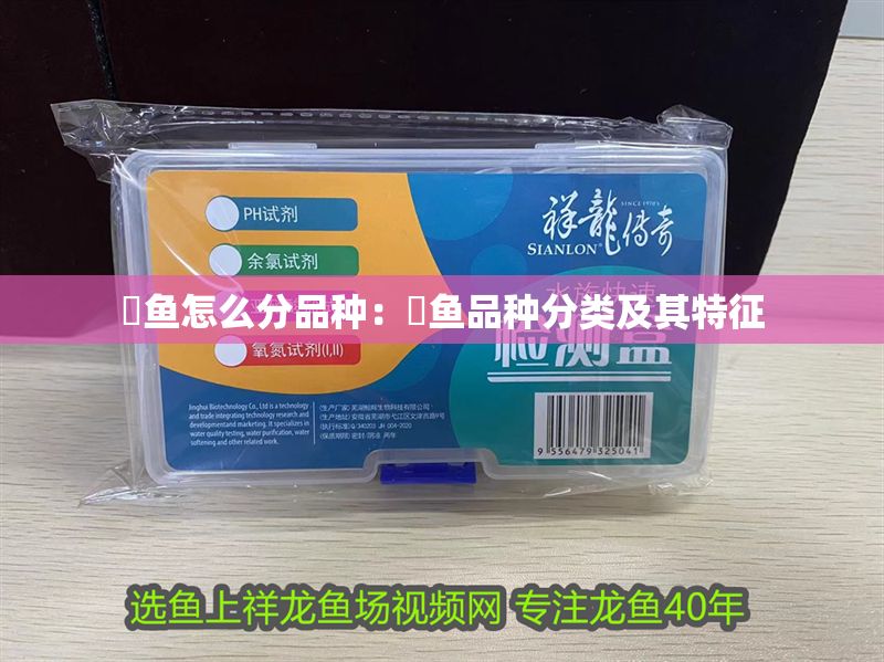 魟魚怎么分品種：魟魚品種分類及其特征