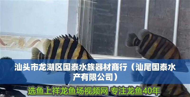 汕頭市龍湖區國泰水族器材商行（汕尾國泰水產有限公司）