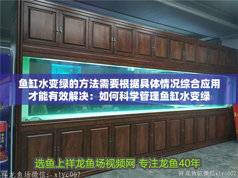 魚缸水變綠的方法需要根據(jù)具體情況綜合應(yīng)用才能有效解決：如何科學(xué)管理魚缸水變綠