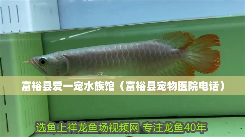 富?？h愛一寵水族館（富?？h寵物醫院電話）