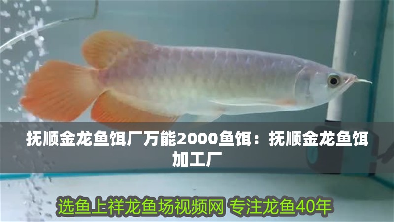 撫順金龍魚餌廠萬能2000魚餌：撫順金龍魚餌加工廠