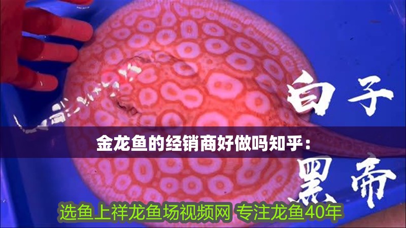 金龍魚的經銷商好做嗎知乎: 水族問答 金龍魚的經銷商好做嗎知乎: 金龍魚的經銷商好做嗎知乎: 水族問答