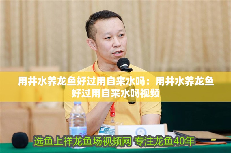 用井水養(yǎng)龍魚好過用自來水嗎：用井水養(yǎng)龍魚好過用自來水嗎視頻