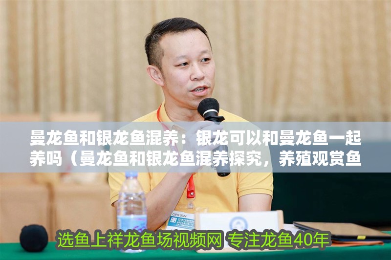 曼龍魚和銀龍魚混養(yǎng)：銀龍可以和曼龍魚一起養(yǎng)嗎（曼龍魚和銀龍魚混養(yǎng)探究，養(yǎng)殖觀賞魚養(yǎng)殖業(yè)還能火下去嗎）