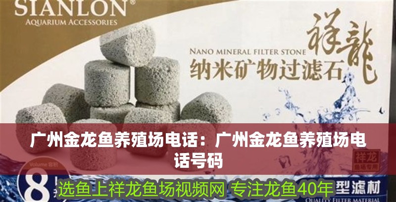 廣州金龍魚養殖場電話：廣州金龍魚養殖場電話號碼