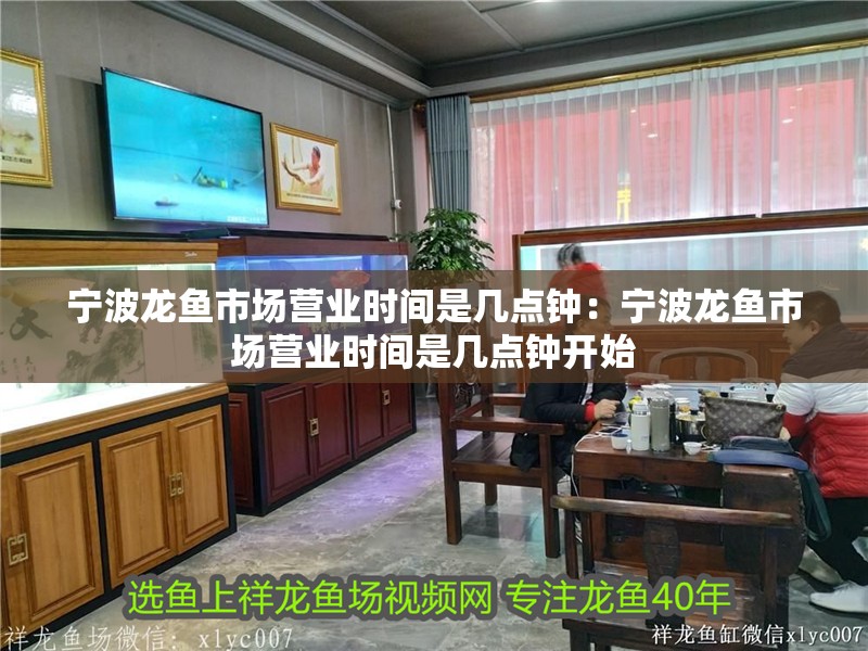 寧波龍魚市場營業時間是幾點鐘：寧波龍魚市場營業時間是幾點鐘開始
