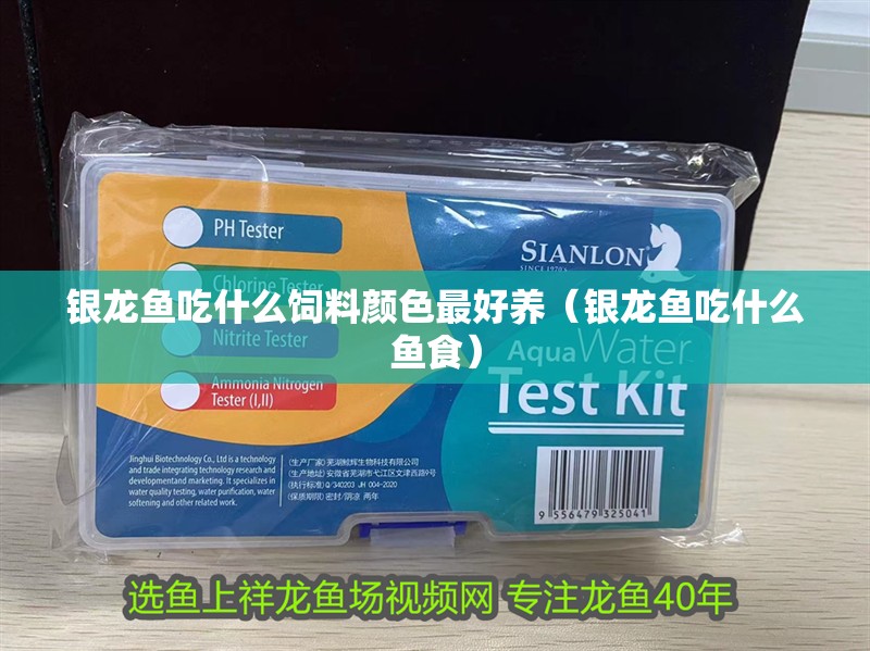 銀龍魚吃什么飼料顏色最好養（銀龍魚吃什么魚食）