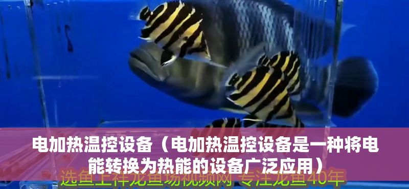 電加熱溫控設備（電加熱溫控設備是一種將電能轉換為熱能的設備廣泛應用）