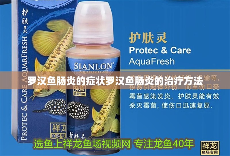 羅漢魚腸炎的癥狀羅漢魚腸炎的治療方法