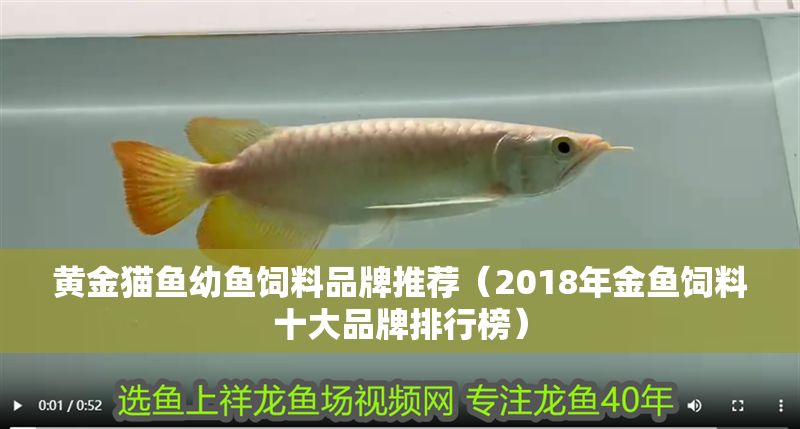 黃金貓魚幼魚飼料品牌推薦（2018年金魚飼料十大品牌排行榜）