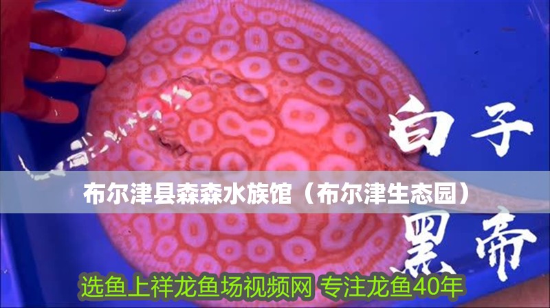 布爾津縣森森水族館（布爾津生態(tài)園） 布爾津縣森森水族館（布爾津生態(tài)園） 全國(guó)水族館企業(yè)名錄 第2張