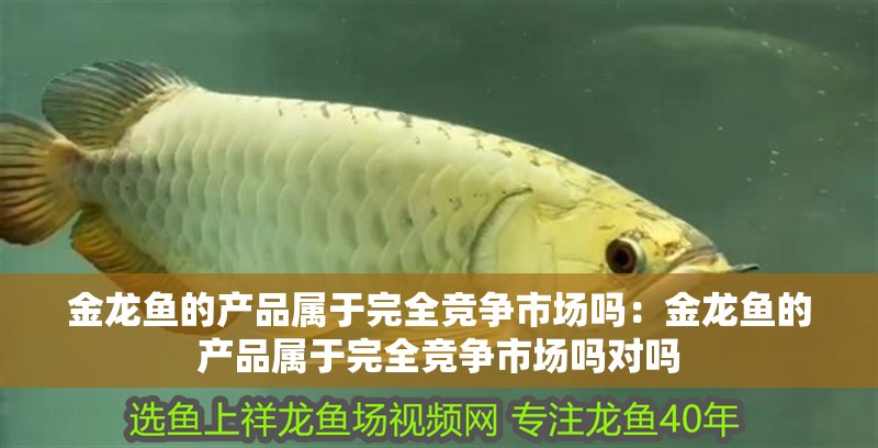 金龍魚的產(chǎn)品屬于完全競爭市場嗎：金龍魚的產(chǎn)品屬于完全競爭市場嗎對嗎
