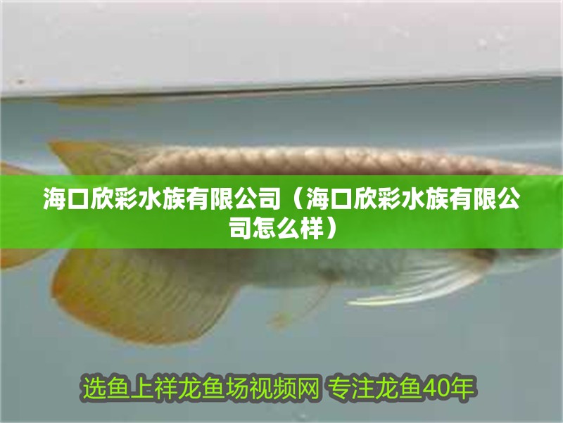 海口欣彩水族有限公司（海口欣彩水族有限公司怎么樣）