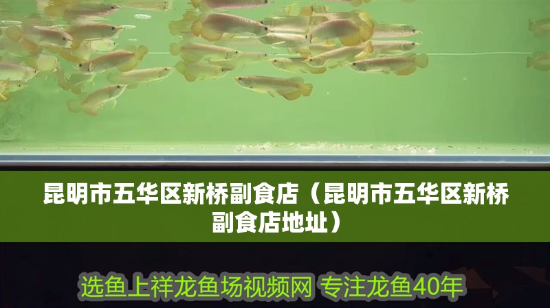 昆明市五華區(qū)新橋副食店（昆明市五華區(qū)新橋副食店地址） 昆明市五華區(qū)新橋副食店（昆明市五華區(qū)新橋副食店地址） 全國(guó)水族館企業(yè)名錄 第2張