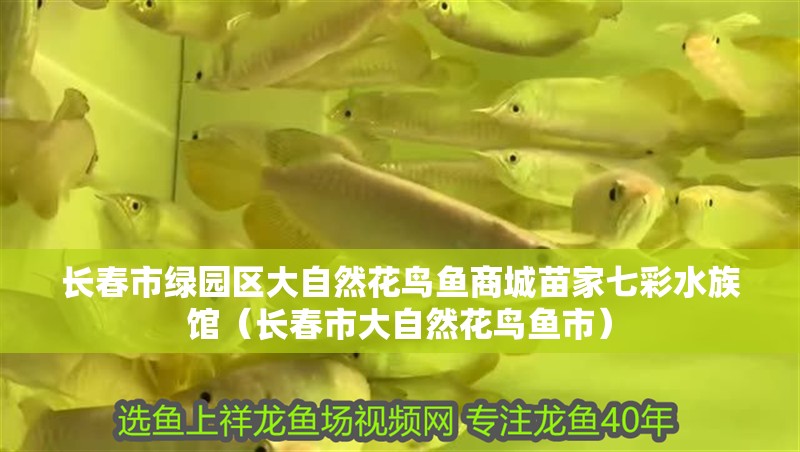 長春市綠園區大自然花鳥魚商城苗家七彩水族館（長春市大自然花鳥魚市）