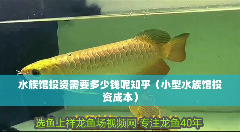 水族館投資需要多少錢呢知乎（小型水族館投資成本）
