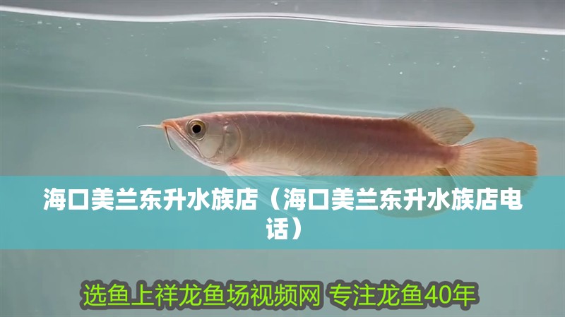 ?？诿捞m東升水族店（?？诿捞m東升水族店電話）
