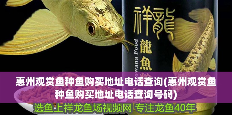 惠州觀賞魚種魚購買地址電話查詢(惠州觀賞魚種魚購買地址電話查詢號碼)