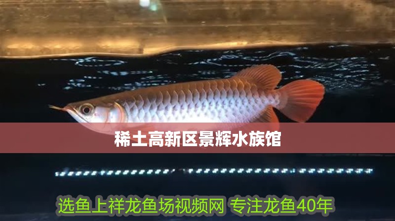 稀土高新區(qū)景輝水族館 全國水族館企業(yè)名錄 第2張 稀土高新區(qū)景輝水族館 稀土高新區(qū)景輝水族館 全國水族館企業(yè)名錄 第2張
