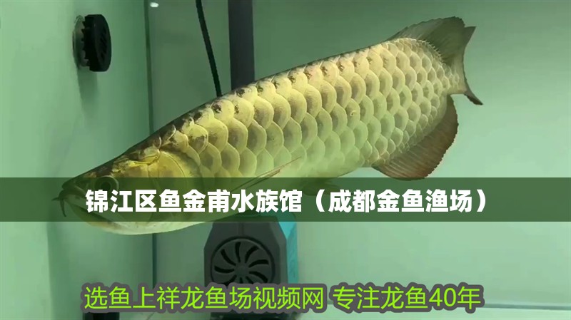 錦江區(qū)魚金甫水族館（成都金魚漁場(chǎng)）