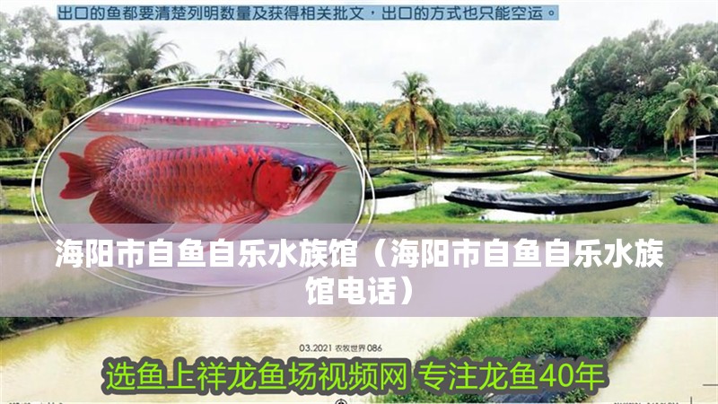 海陽(yáng)市自魚自樂(lè)水族館（海陽(yáng)市自魚自樂(lè)水族館電話）