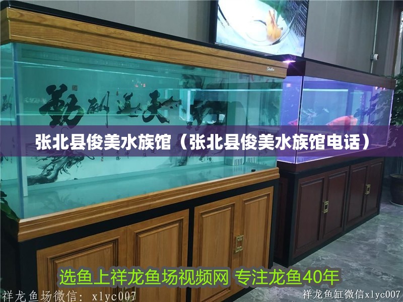 張北縣俊美水族館（張北縣俊美水族館電話）