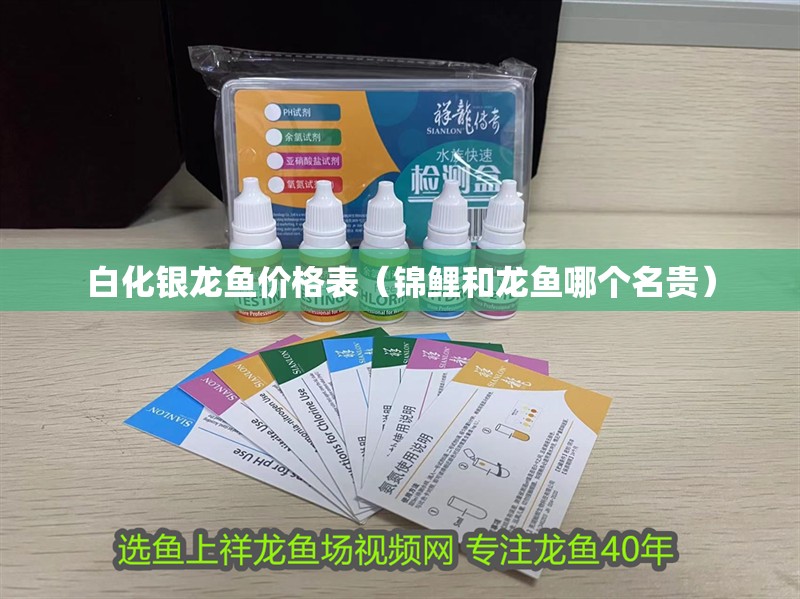 白化銀龍魚(yú)價(jià)格表（錦鯉和龍魚(yú)哪個(gè)名貴）