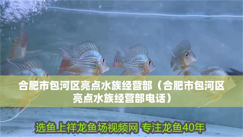 合肥市包河區亮點水族經營部(合肥市包河區亮點水族經營部電話) 全國水族館企業名錄 第2張 合肥市包河區亮點水族經營部(合肥市包河區亮點水族經營部電話) 合肥市包河區亮點水族經營部(合肥市包河區亮點水族經營部電話) 全國水族館企業名錄 第2張