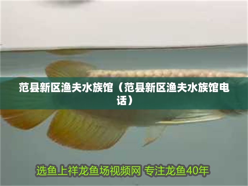 范縣新區漁夫水族館(范縣新區漁夫水族館電話) 全國水族館企業名錄 第2張 范縣新區漁夫水族館(范縣新區漁夫水族館電話) 范縣新區漁夫水族館(范縣新區漁夫水族館電話) 全國水族館企業名錄 第2張
