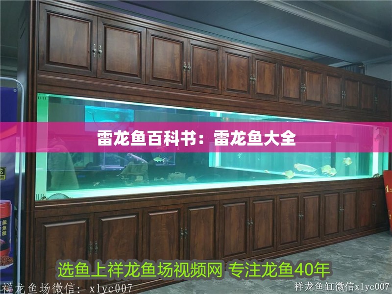雷龍魚百科書：雷龍魚大全