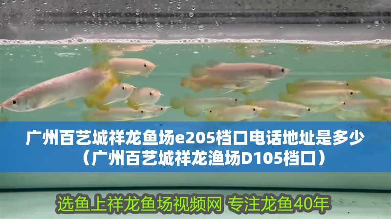廣州百藝城祥龍魚場e205檔口電話地址是多少（廣州百藝城祥龍漁場D105檔口）