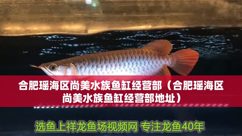 合肥瑤海區尚美水族魚缸經營部（合肥瑤海區尚美水族魚缸經營部地址）