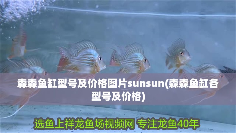 森森魚缸型號及價格圖片sunsun(森森魚缸各型號及價格)