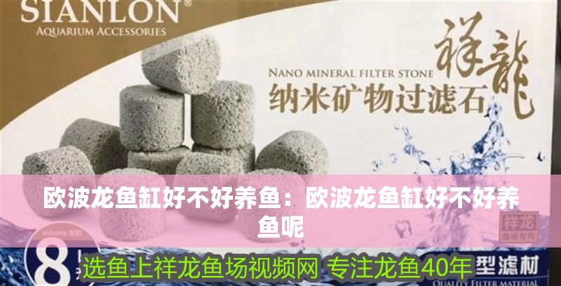 歐波龍魚缸好不好養魚：歐波龍魚缸好不好養魚呢