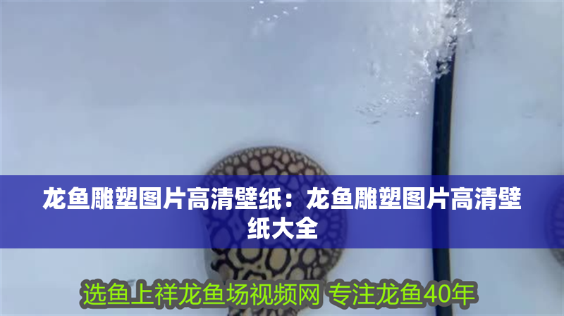 龍魚雕塑圖片高清壁紙：龍魚雕塑圖片高清壁紙大全