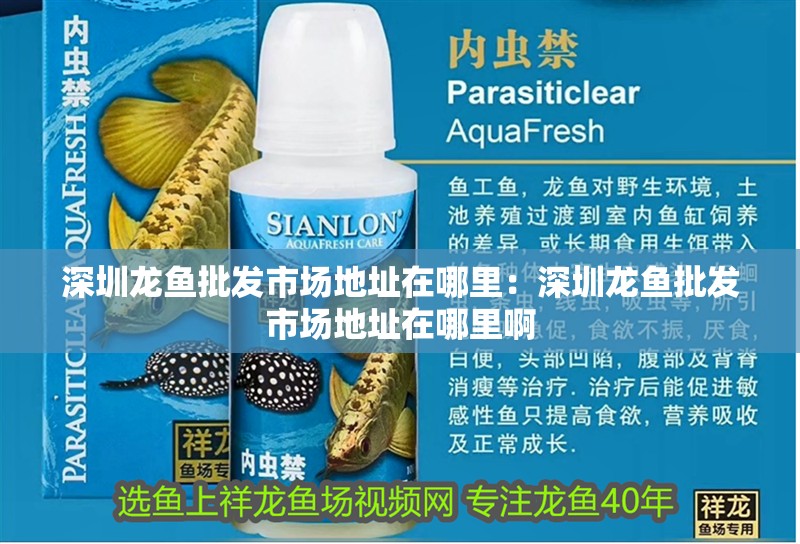 深圳龍魚批發市場地址在哪里:深圳龍魚批發市場地址在哪里啊 水族問答 深圳龍魚批發市場地址在哪里:深圳龍魚批發市場地址在哪里啊 深圳龍魚批發市場地址在哪里:深圳龍魚批發市場地址在哪里啊 水族問答