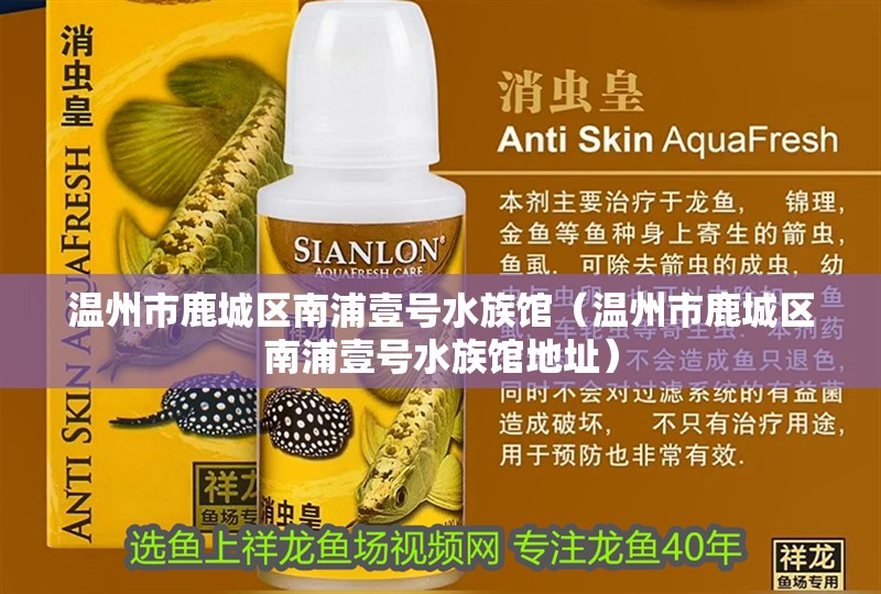 溫州市鹿城區(qū)南浦壹號(hào)水族館（溫州市鹿城區(qū)南浦壹號(hào)水族館地址）