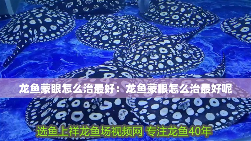 龍魚蒙眼怎么治最好：龍魚蒙眼怎么治最好呢