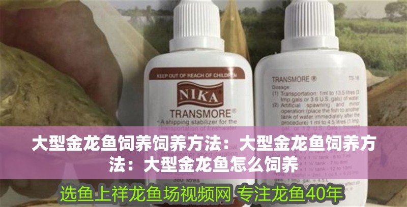 大型金龍魚飼養飼養方法：大型金龍魚飼養方法：大型金龍魚怎么飼養