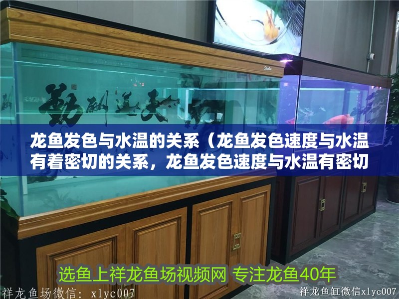 龍魚發色與水溫的關系（龍魚發色速度與水溫有著密切的關系，龍魚發色速度與水溫有密切關系）