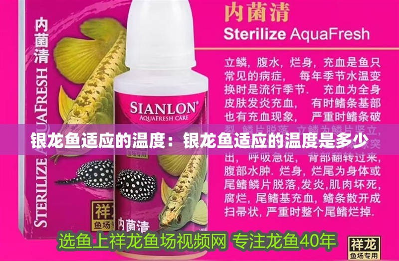 銀龍魚適應的溫度：銀龍魚適應的溫度是多少