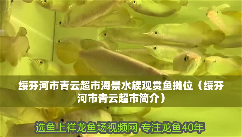 綏芬河市青云超市海景水族觀賞魚攤位（綏芬河市青云超市簡介）